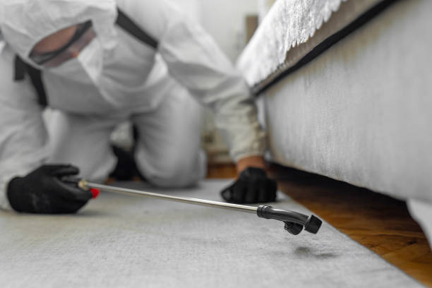 Professional Pest Control technician working in Park County County, MT
